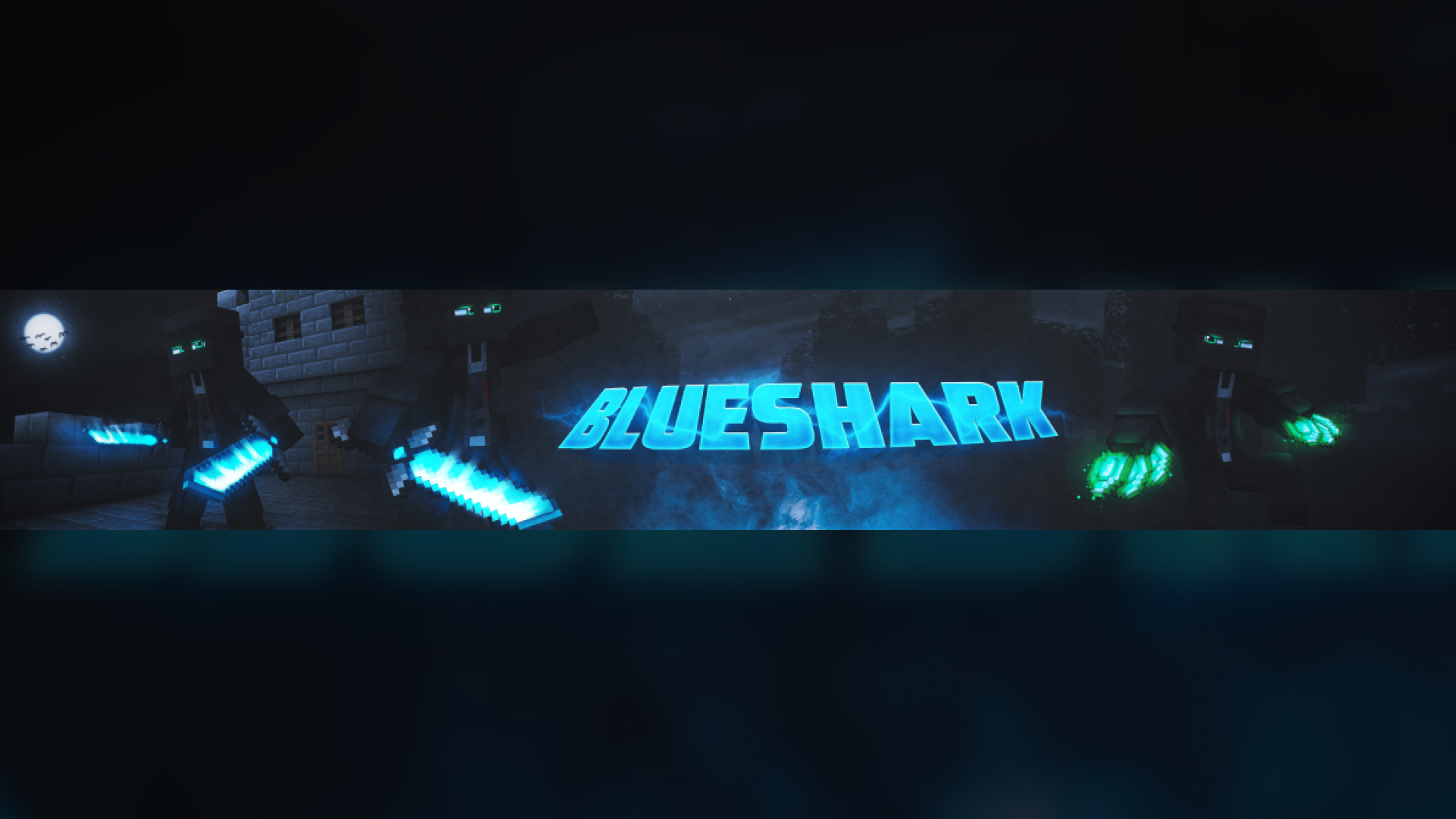 Banner dla blueshark